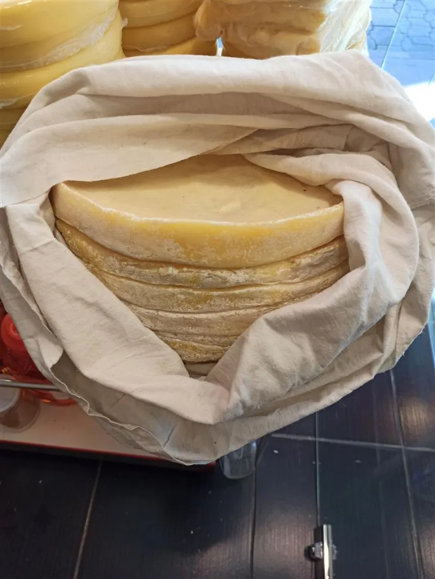Çayeli Koloti Peyniri, a cheese from Rize (Çayeli), Turkey