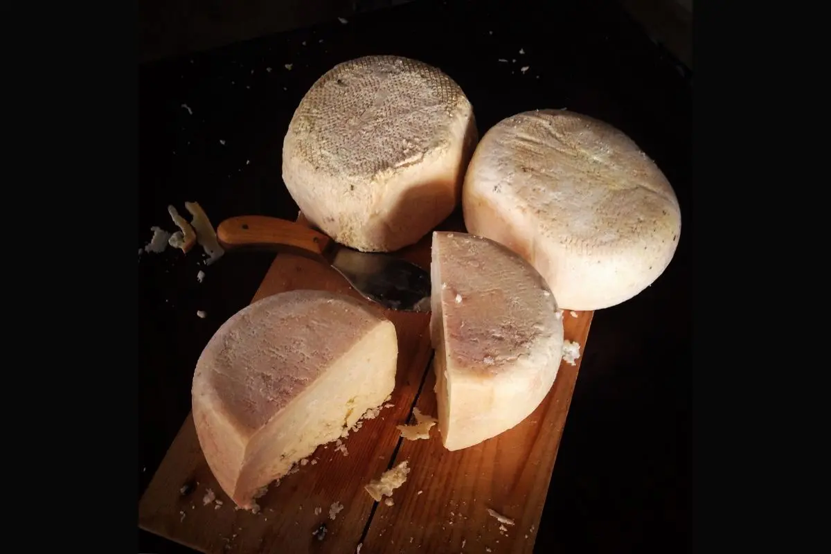 Formaggio di Fossa di Sogliano, a cheese from Emilia-Romagna and Marche, Italy