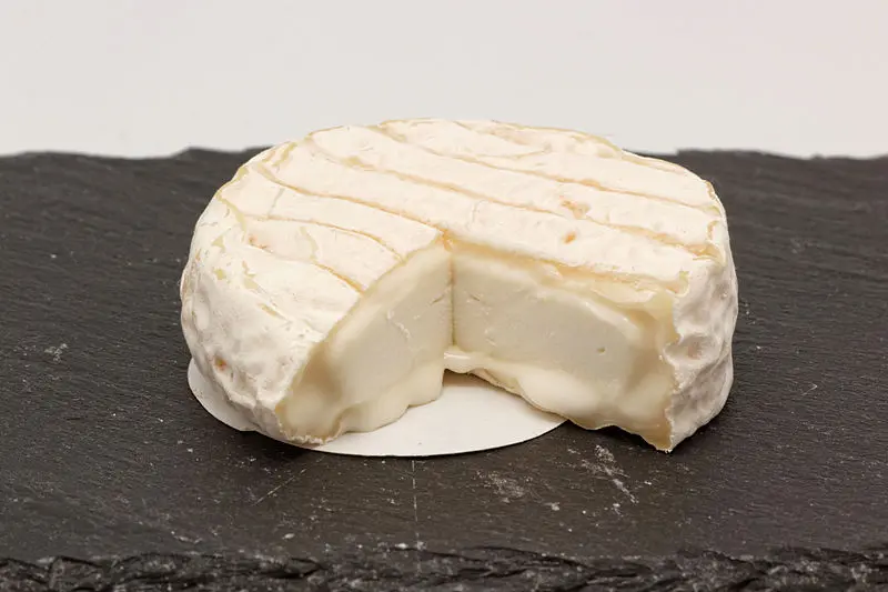 Pélardon, a cheese from Languedoc-Roussillon (Cévennes), France