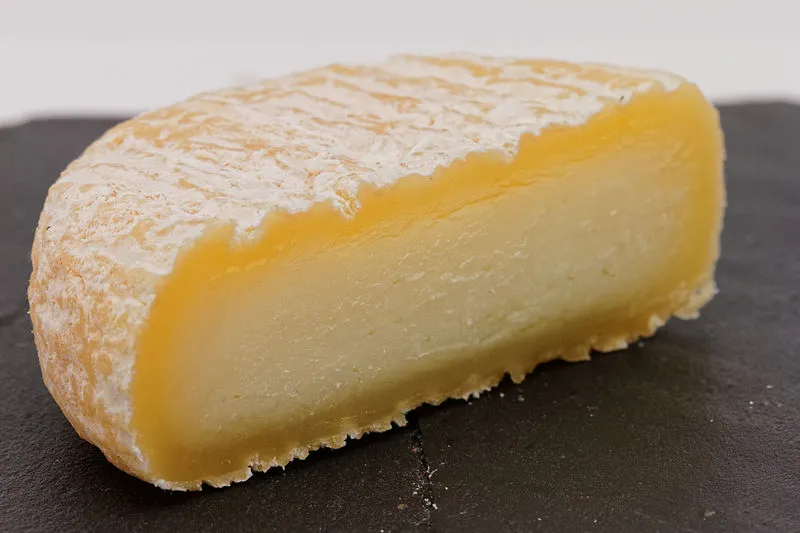 Picodon, a cheese from Drôme and Ardèche (Rhône-Alpes), France