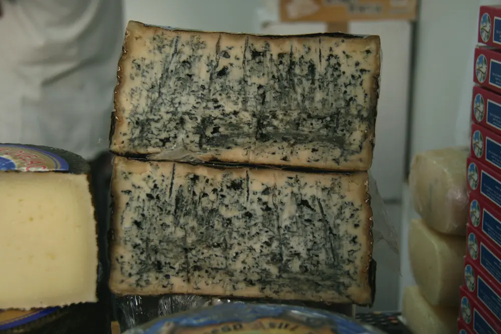 Queso de Valdeón, a cheese from Castile and León (Valdeón Valley, León), Spain