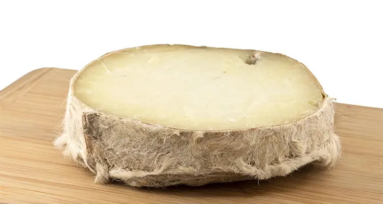 Tunceli, Türkiye kökenli Tunceli Şavak Tulumu