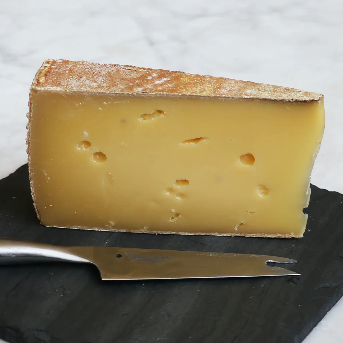 Toma Piemontese, a cheese from Piedmont, Italy