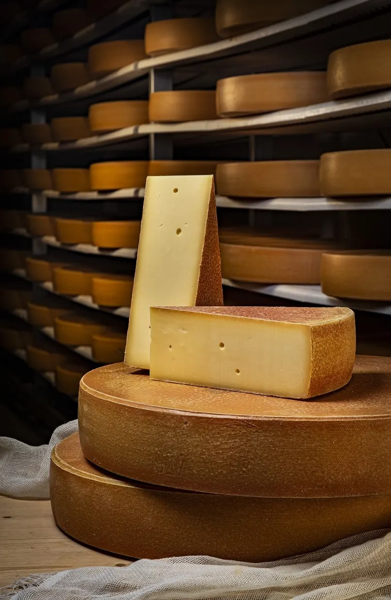 Vorarlberger Bergkäse, a cheese from Vorarlberg, Austria