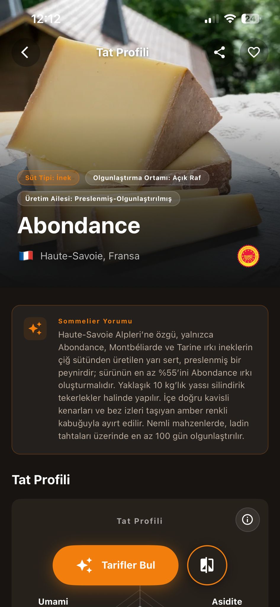Cheesepedia Türkçe uygulama ekranı 3